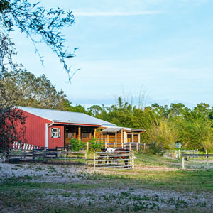 Photo d'un centre équestre