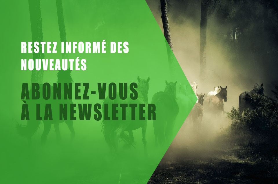 Image d'illustration newsletter