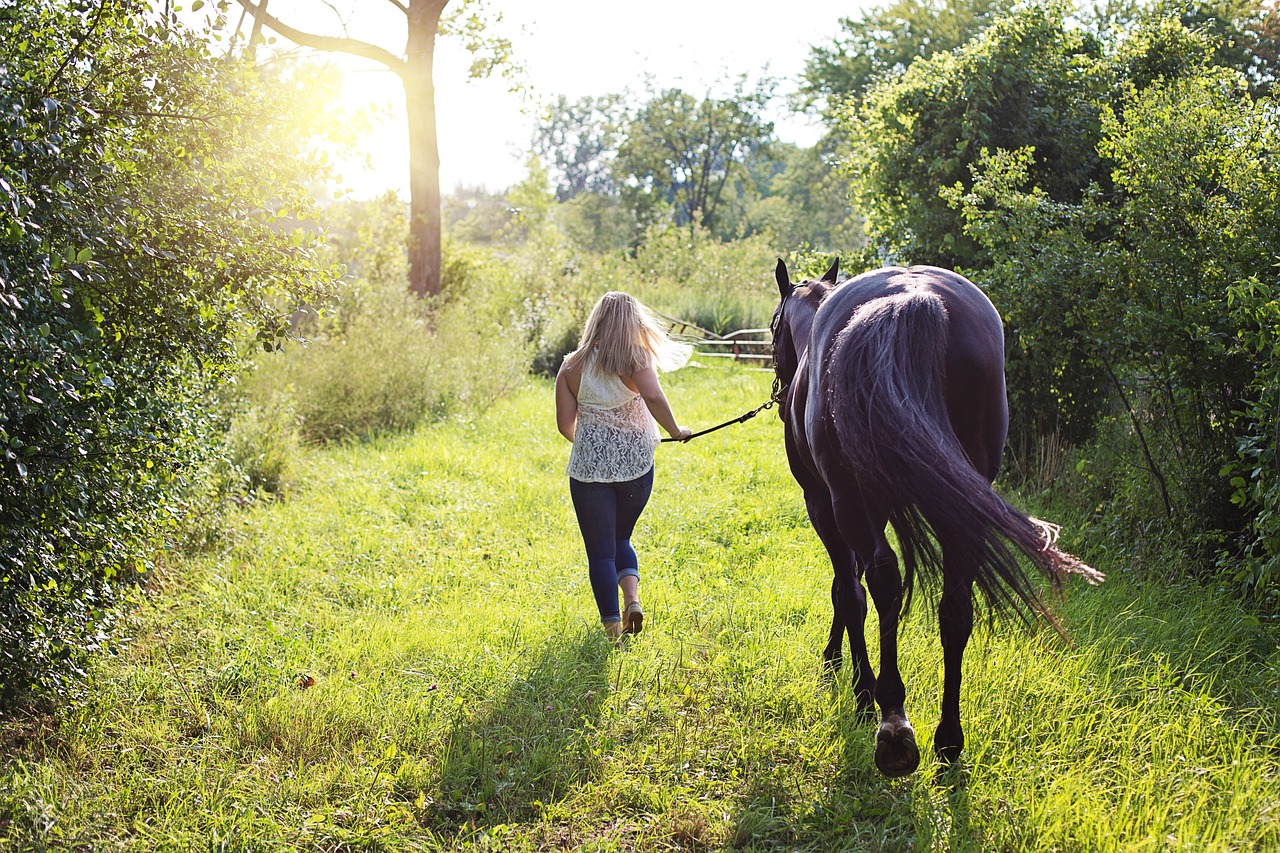 photo de Marie D promenant son cheval