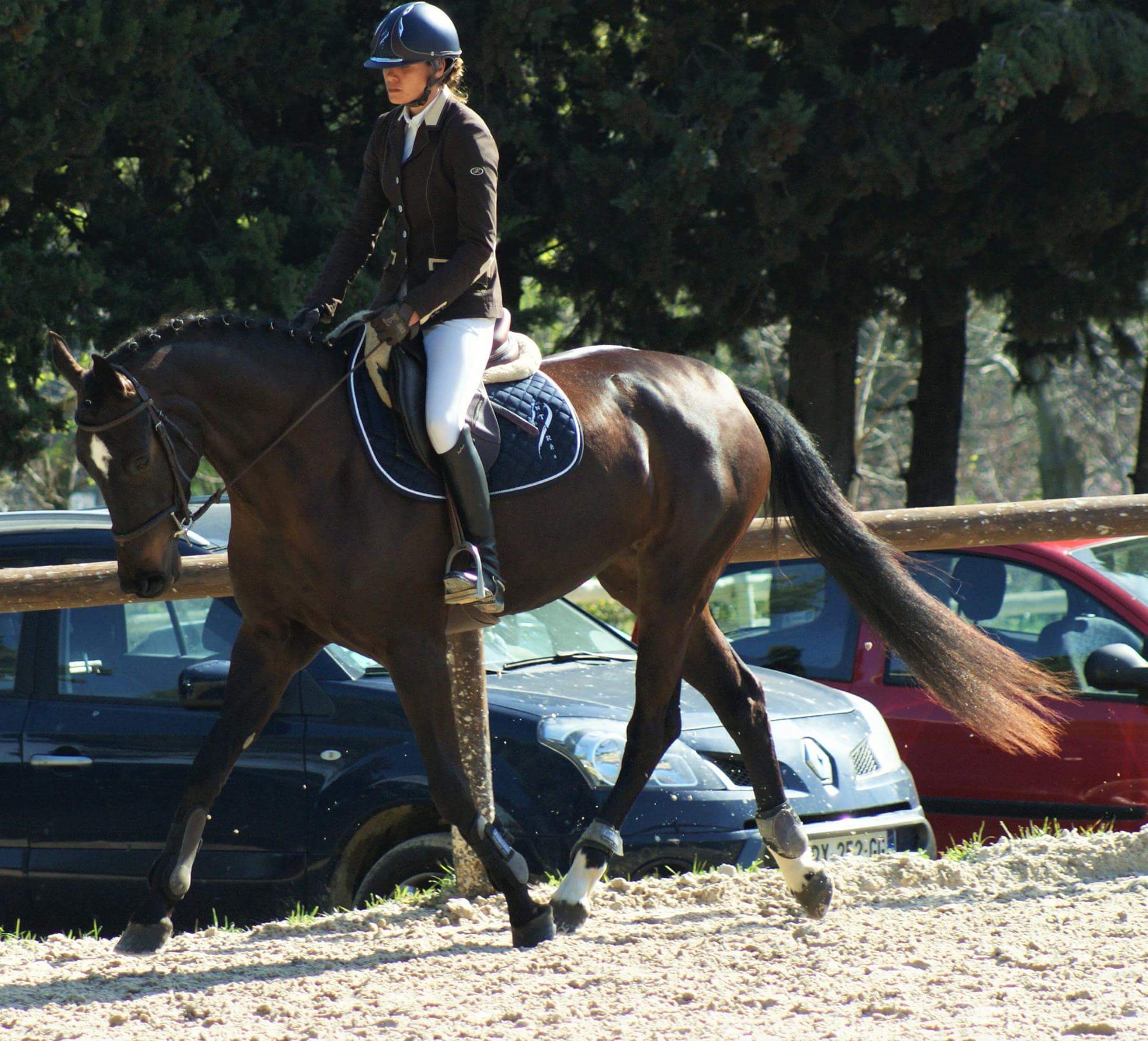 Photo du professionnel équestre Nathalie Szuwalski spécialisé en Moniteur d’équitation, Cavalier pro