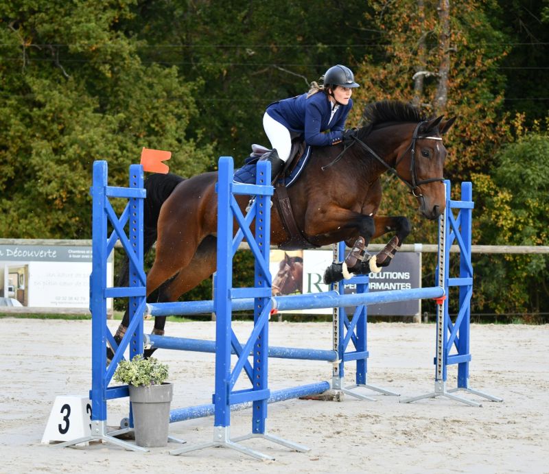 photo du professionnel équestre Angèle spécialisé en 