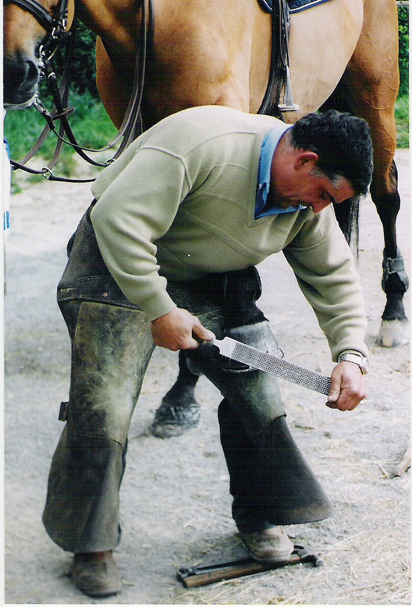 Photo du professionnel équestre Jean-Luc BAILLY spécialisé en Maréchal-ferrant