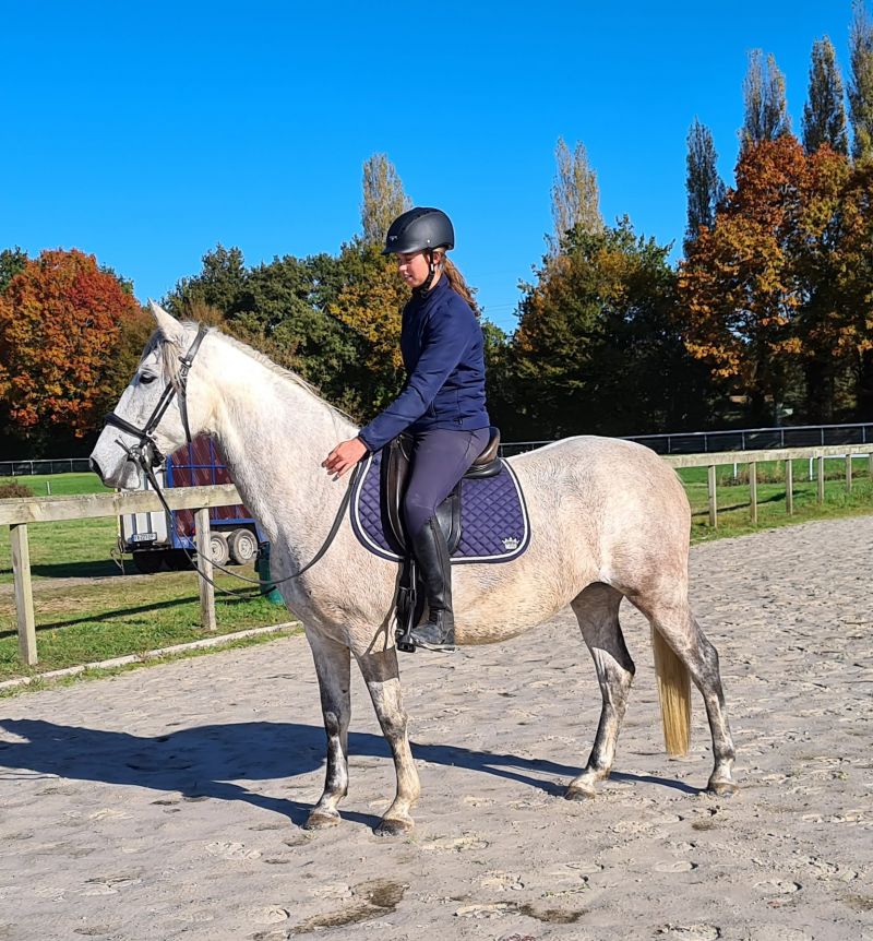 Photo du professionnel équestre Maud Bertin spécialisé en 