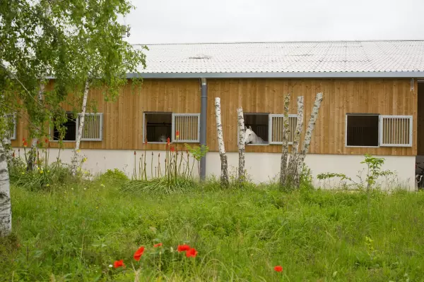 sheva-societe-hippique-de-l-ecole-veterinaire-d-alfort_photo