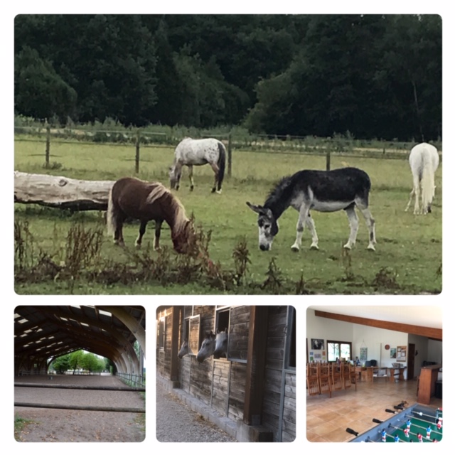 poney-club-de-chailly-en-bière_photo