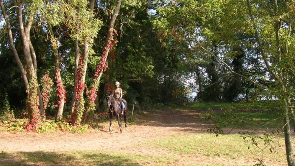 ecuries-du-haut-bois_photo