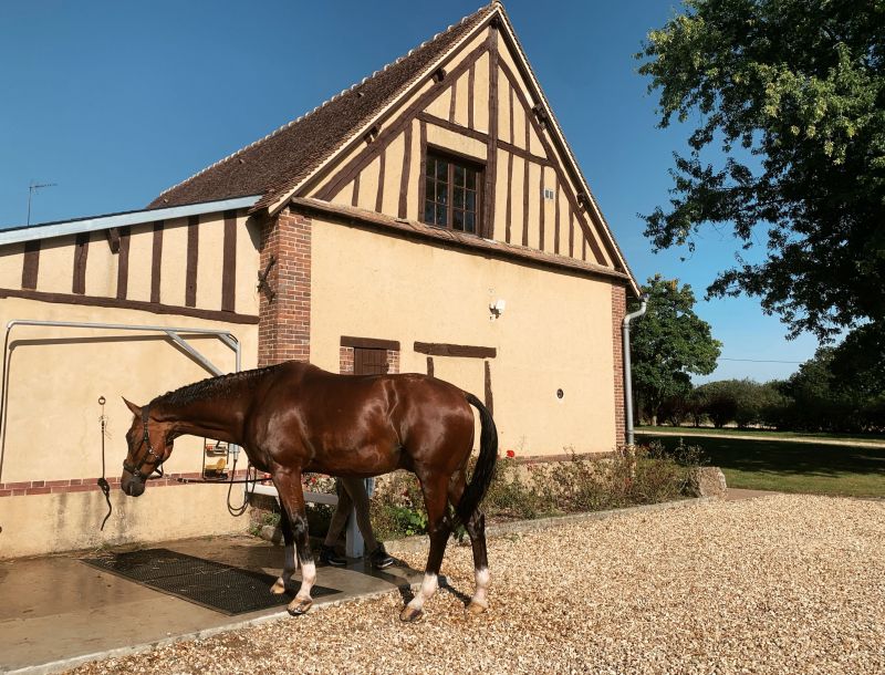 haras-de-la-ferrandière_photo