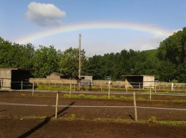 centre-equestre-les-frenes_photo