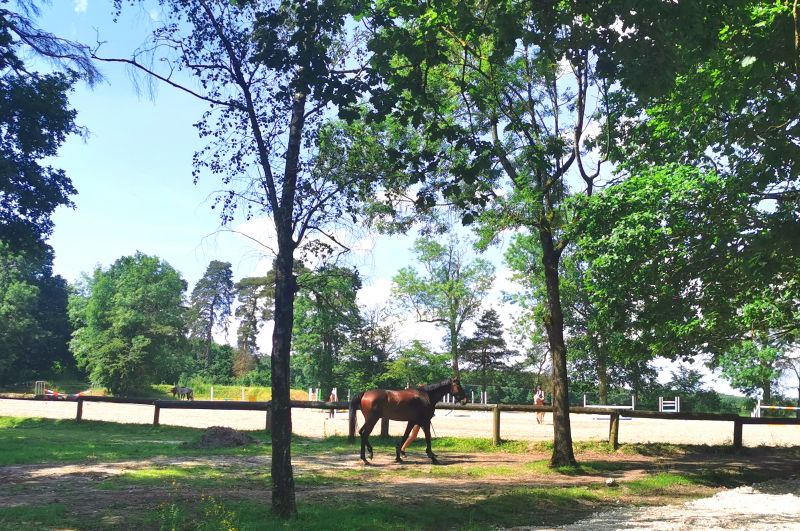 haras-de-chevreuse_photo