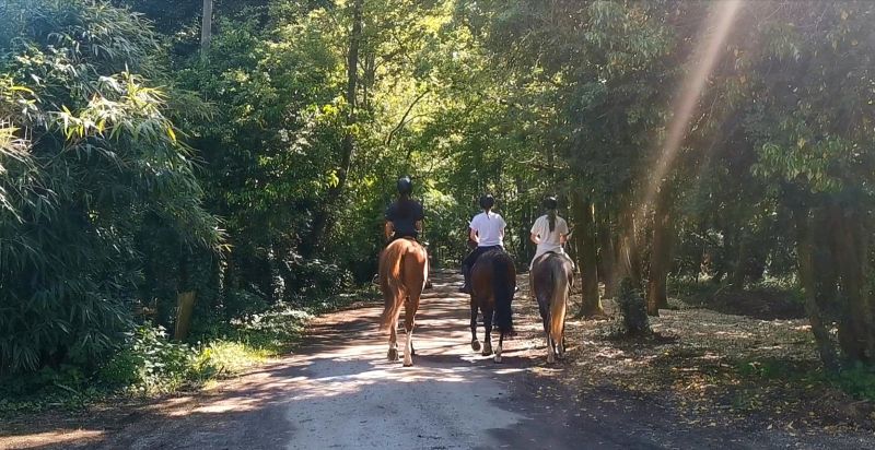 haras-de-chevreuse_photo