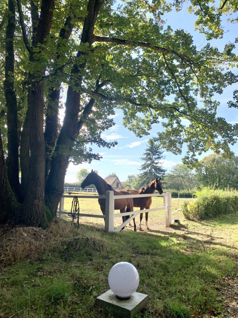 haras-de-la-ferrandière_photo