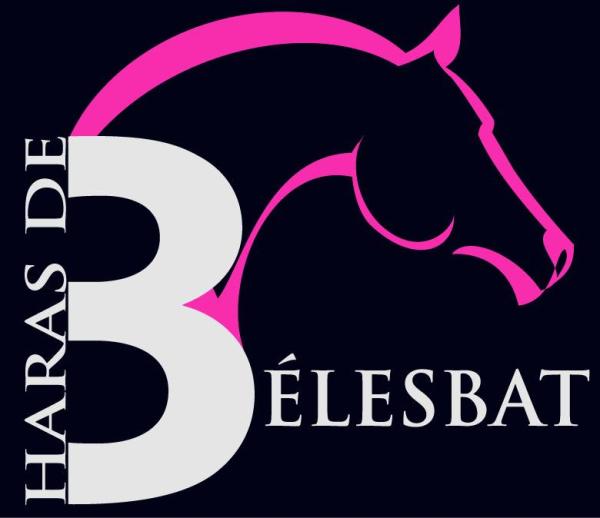 HARAS DE BELESBAT logo