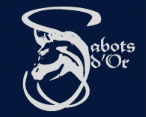 CENTRE EQUESTRE DE MENOIS logo