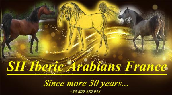 SH Iberic Arabians France logo