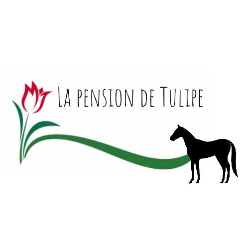 Pension de Tulipe logo