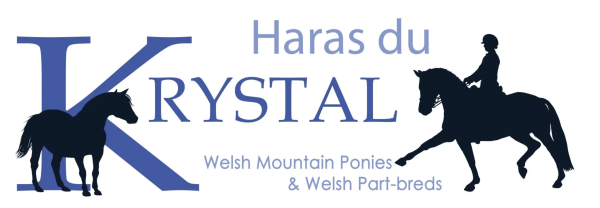 HARAS DU KRYSTAL logo