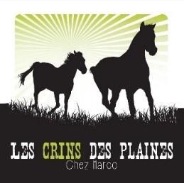 Pension Les Crins des Plaines logo