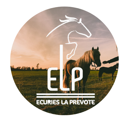 CENTRE EQUESTRE DE LA PREVOTE logo