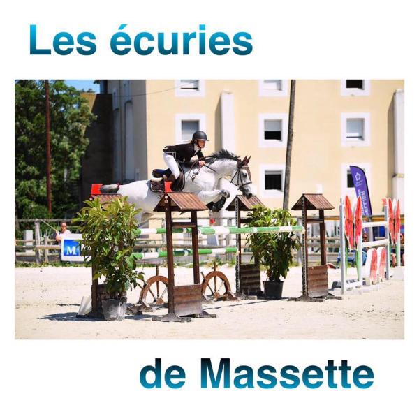 ECURIES DE MASSETTE logo