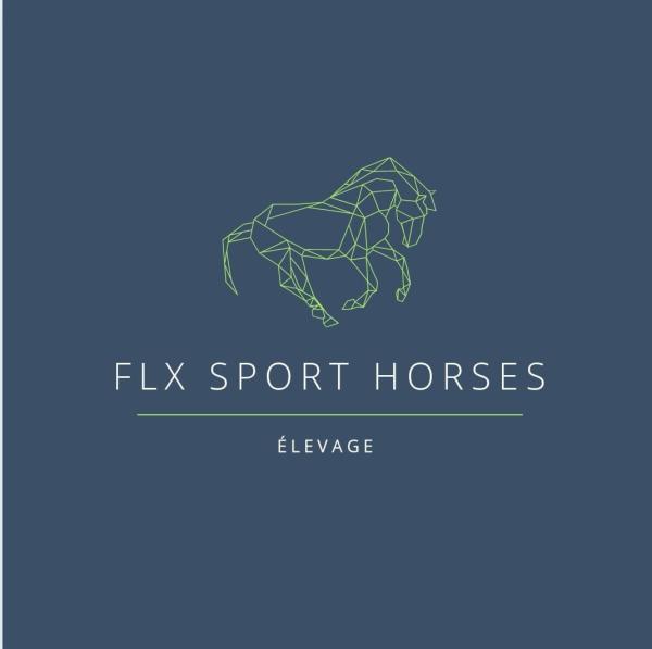 Flx sport horses logo