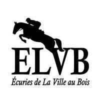 ECURIES DE LA VILLE AU BOIS logo