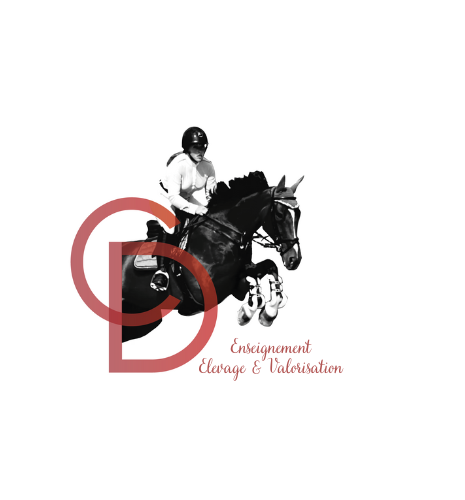 Cyrielle Delhomme - Enseignante & Coach CSO, Travail du cheval, Valorisation logo