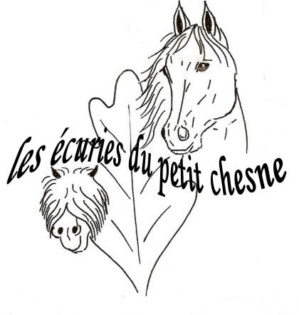 ECURIES DU PETIT CHESNE logo