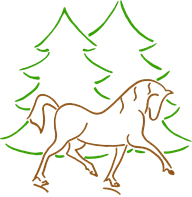 PONEY CLUB DU SOTTIER logo