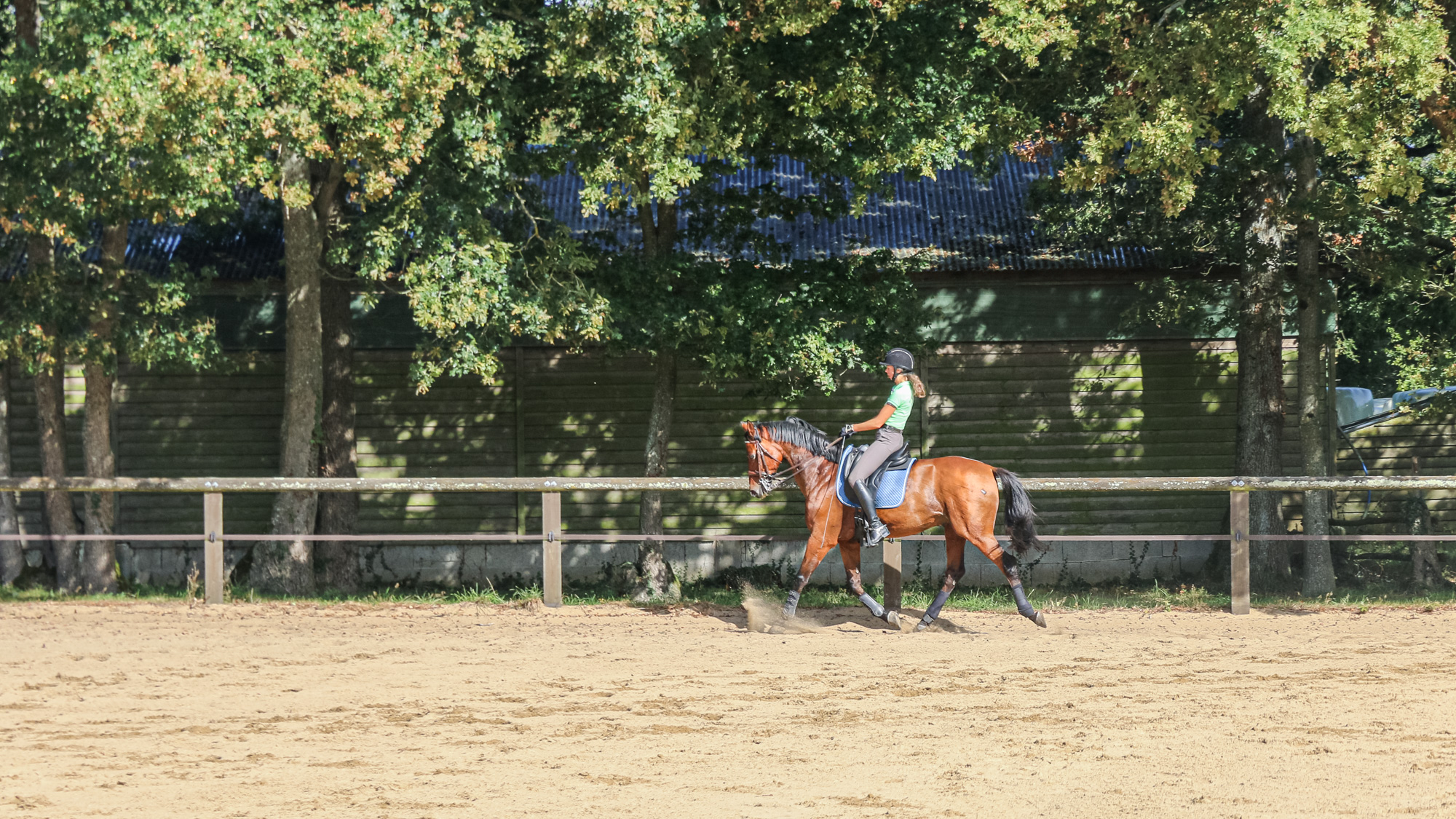 les-ecuries-de-faouell_photo