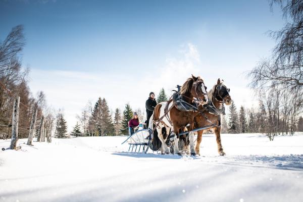 cercle-equestre-volte-face_photo