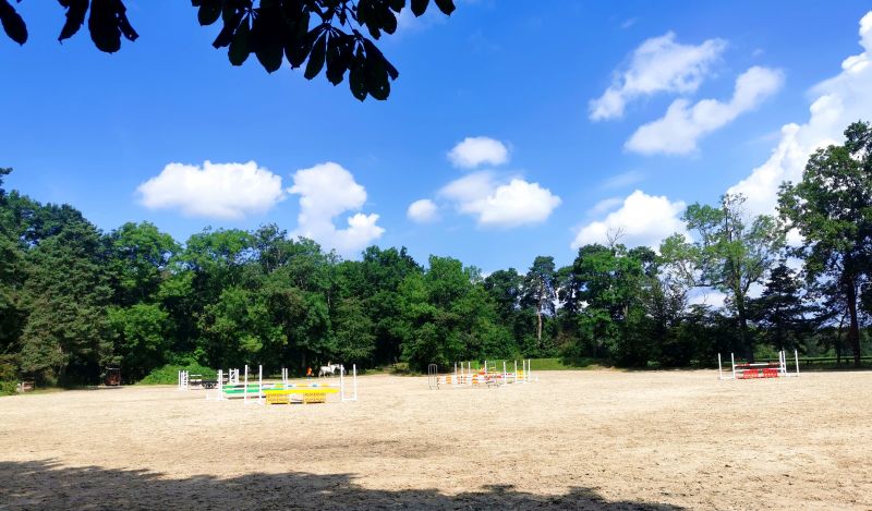 haras-de-chevreuse_photo