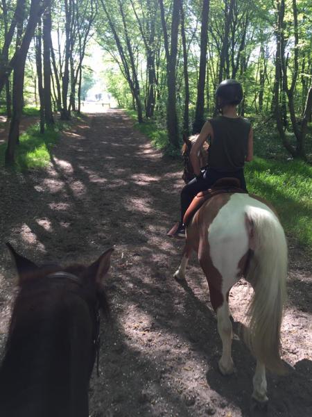 horse-holidays-france_photo