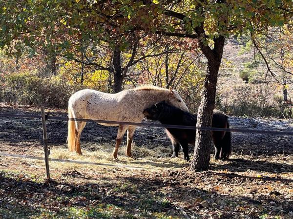 domaine-du-cruvelet_photo