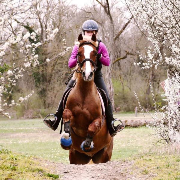 jezabelle-equitation_photo