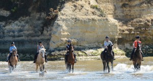 centre-equestre-de-l'estuaire_photo