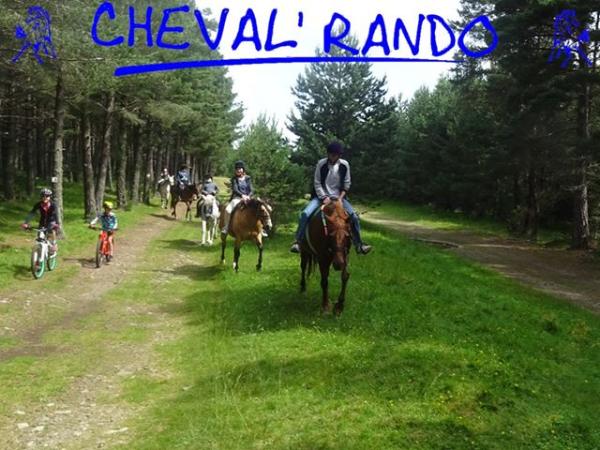 cheval-rando_photo