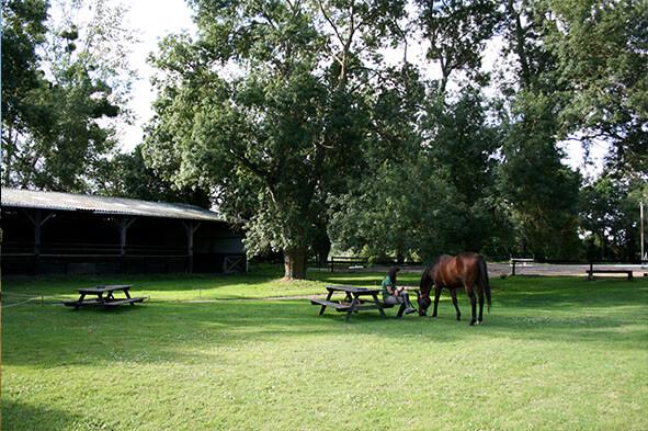 ecuries-du-haut-bois_photo