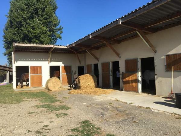 cheval-poney-club-des-2-rives_photo