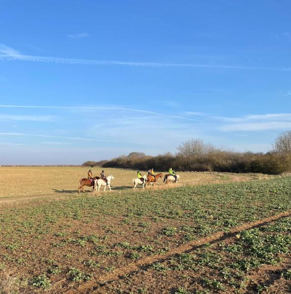 agora-du-cheval_photo