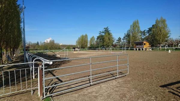 cheval-poney-club-des-2-rives_photo