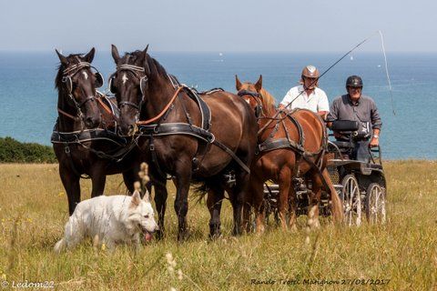 les-ecuries-d'ydill_photo