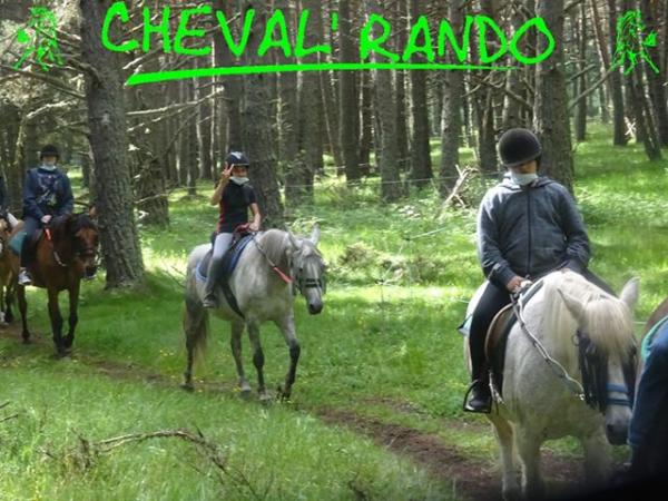 cheval-rando_photo