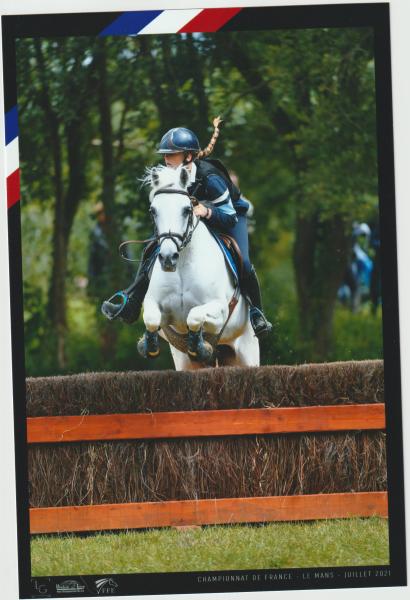 poney-club-du-bois-de-verrieres_photo