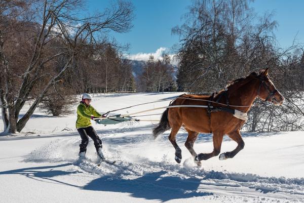 cercle-equestre-volte-face_photo