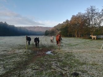 haras-du-val-des-bouillons_photo